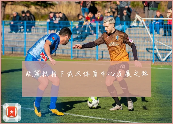 政策扶持下武汉体育中心发展之路