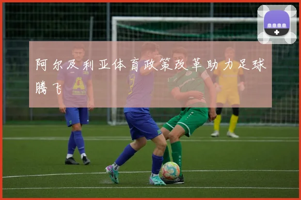 阿尔及利亚体育政策改革助力足球腾飞