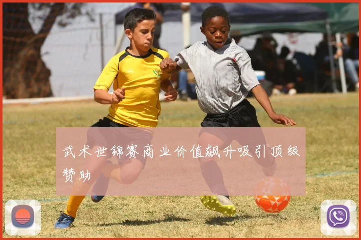 武术世锦赛商业价值飙升吸引顶级赞助