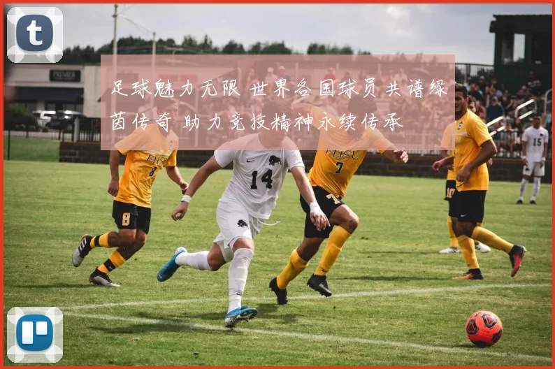 足球魅力无限 世界各国球员共谱绿茵传奇 助力竞技精神永续传承