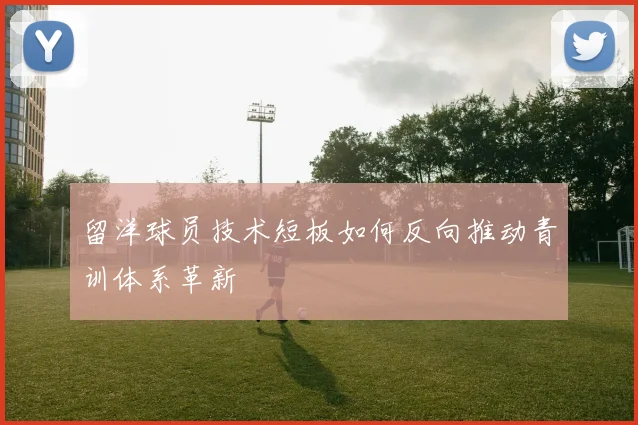 留洋球员技术短板如何反向推动青训体系革新